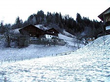 Maso Pinter